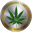 CannabisCoin CANN