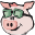 Pig Finance PIG